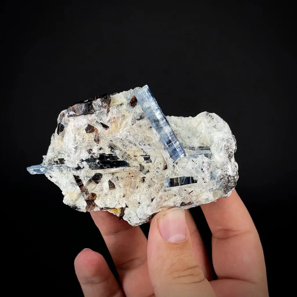 Kyanite and Staurolite image