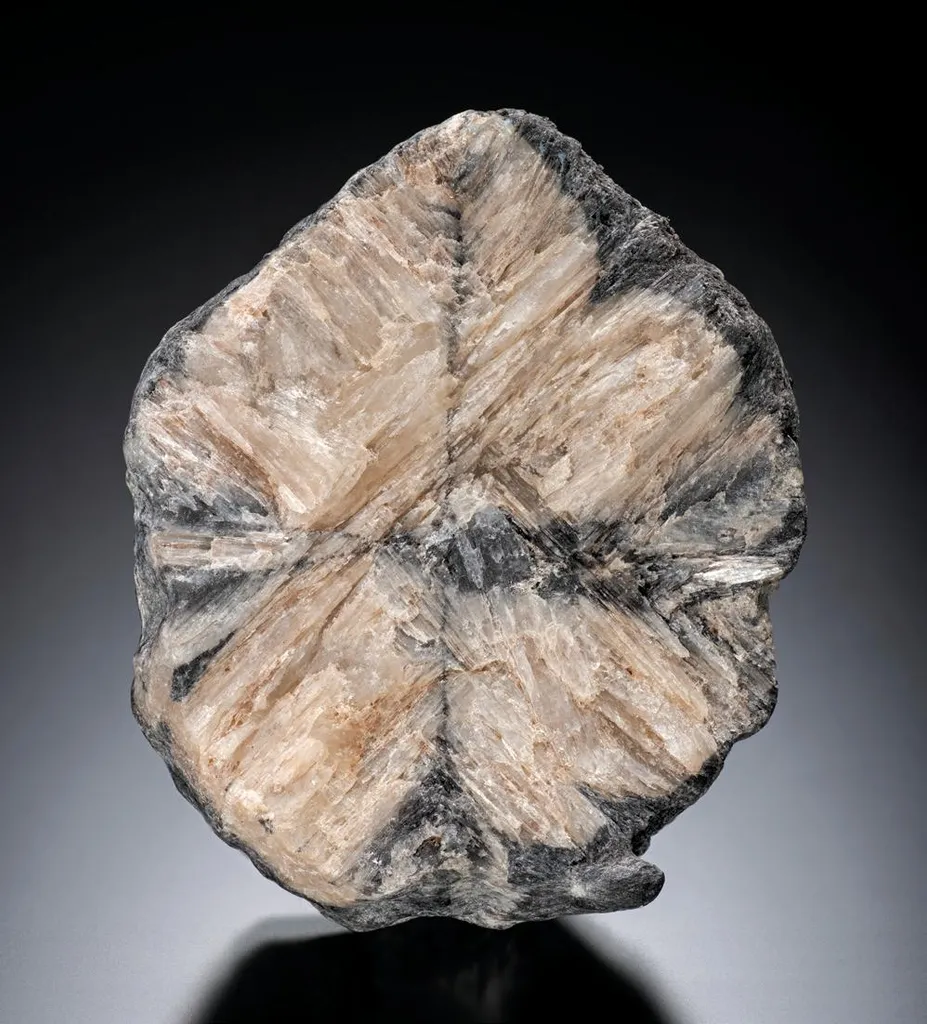 Kyanite paramorph after Andalusite image