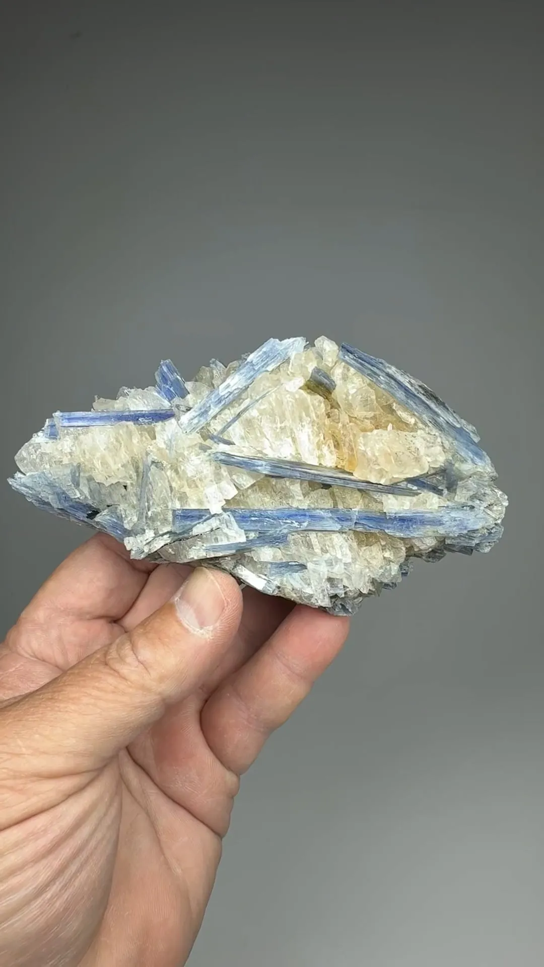 Kyanite with Quartz - image 2