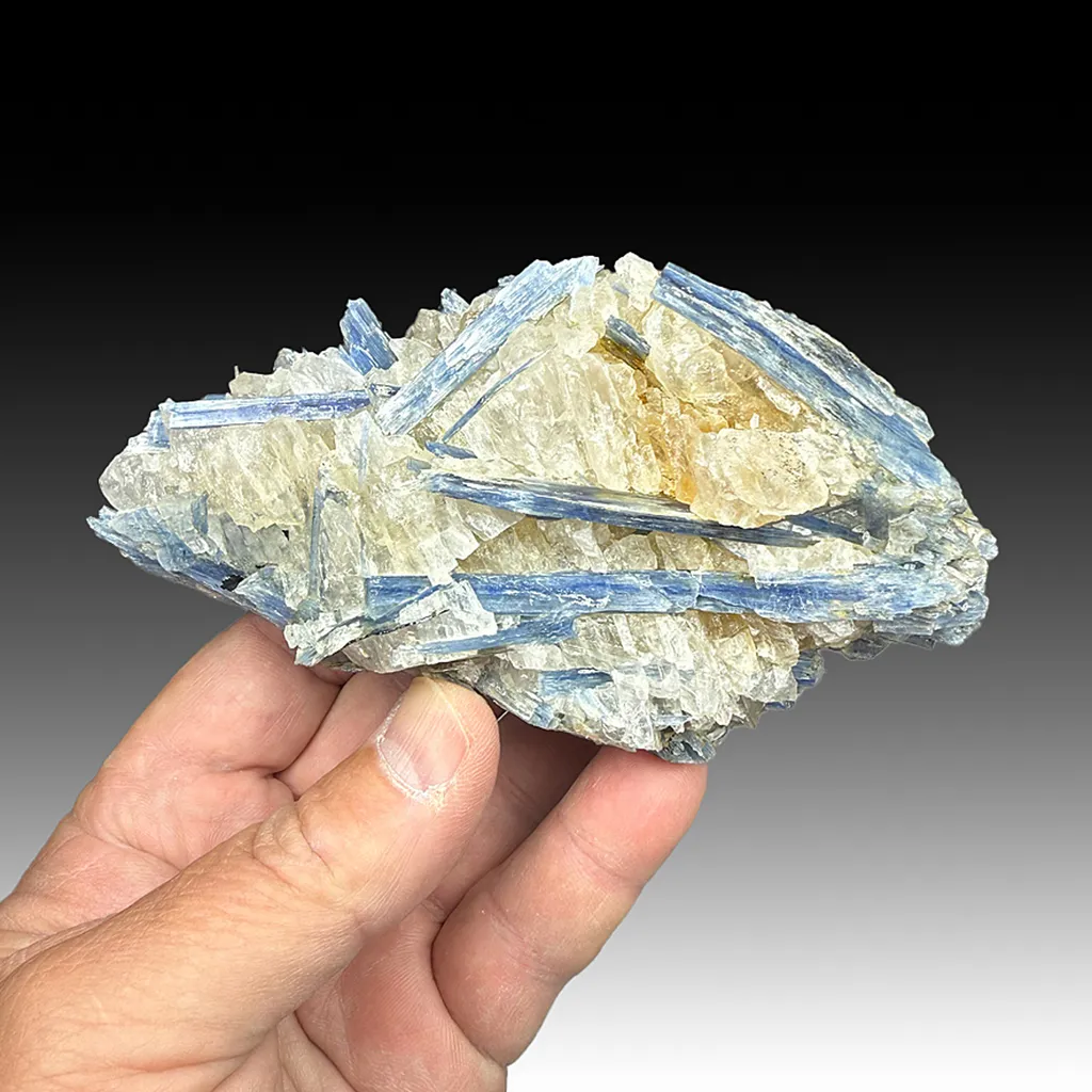 Kyanite with Quartz image