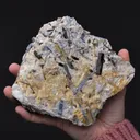 Kyanite with Staurolite - image 2