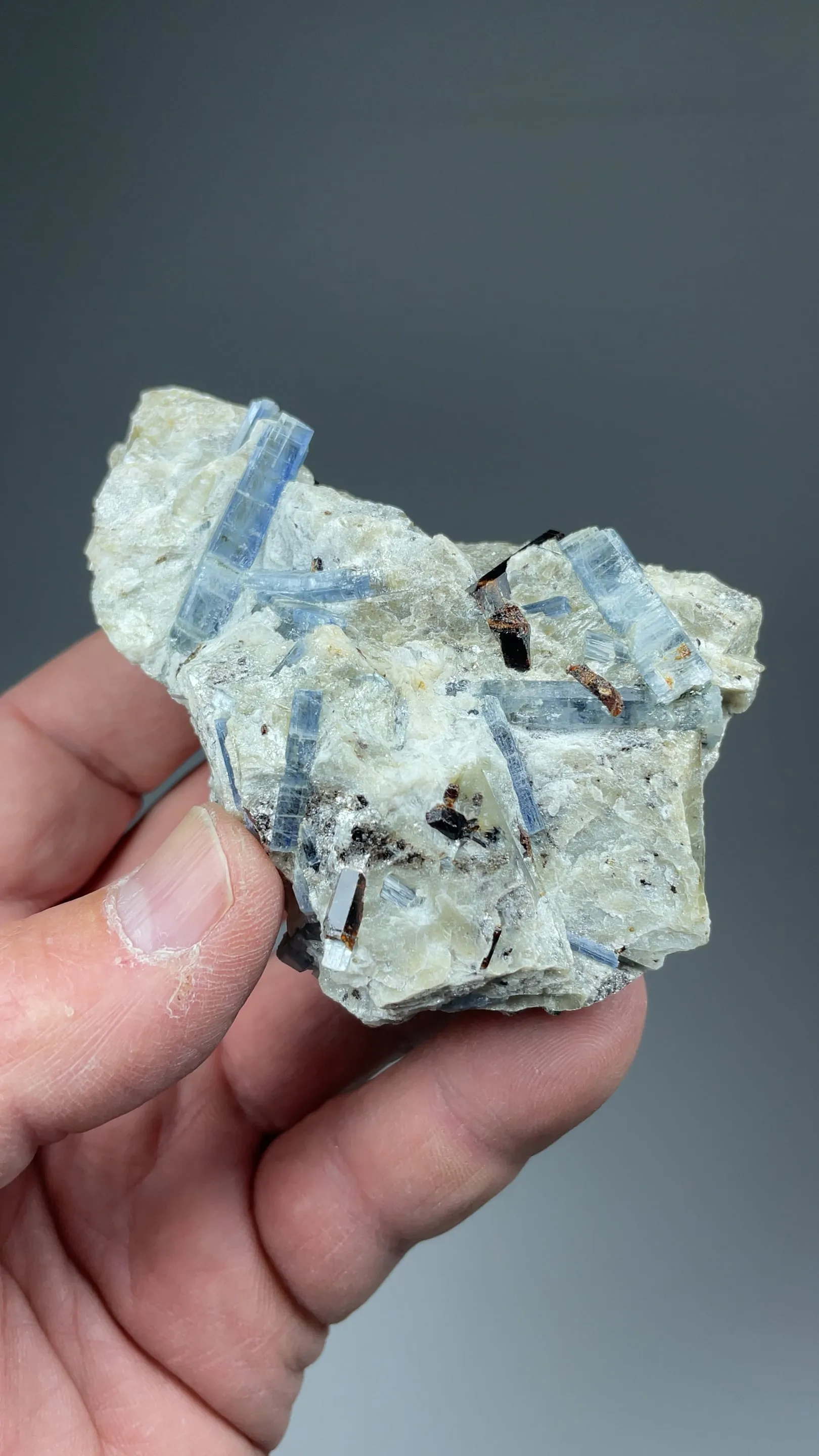 Kyanite with Staurolite - image 2