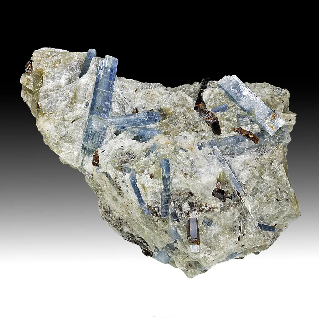 Kyanite with Staurolite image