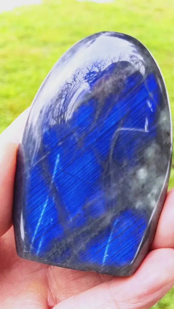 specimen video