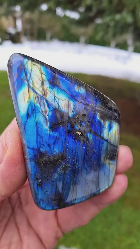 specimen video