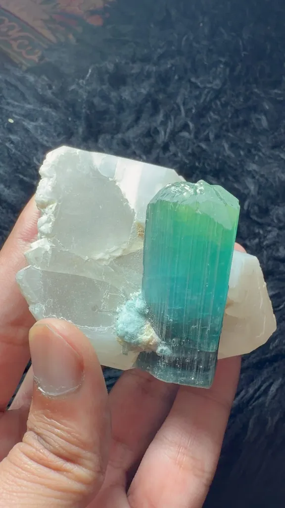 specimen video