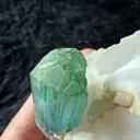 Lagoon Tourmaline with quartz combine specimen from Afghanistan - image 5