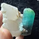 Lagoon Tourmaline with quartz combine specimen from Afghanistan - image 4