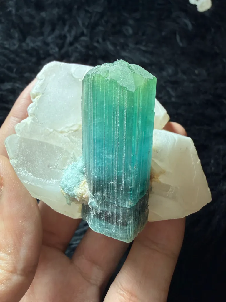 Lagoon Tourmaline with quartz combine specimen from Afghanistan image