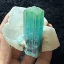 Lagoon Tourmaline with quartz combine specimen from Afghanistan - image 2