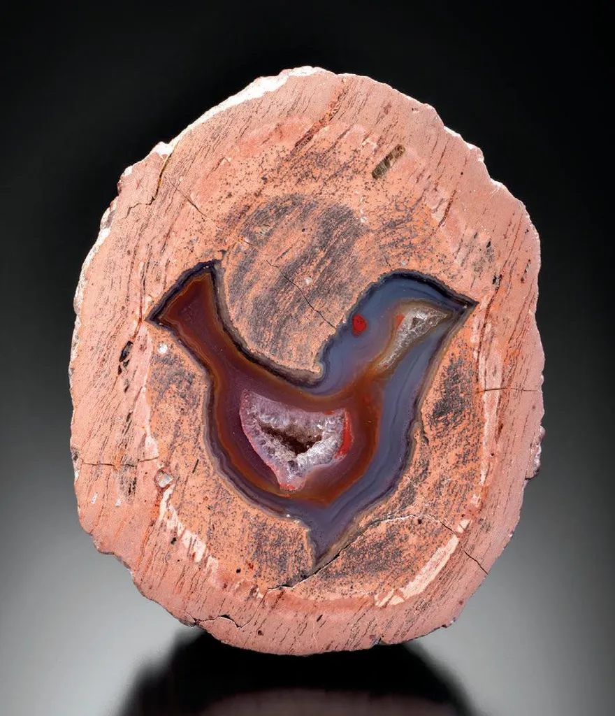 Laguna Agate image