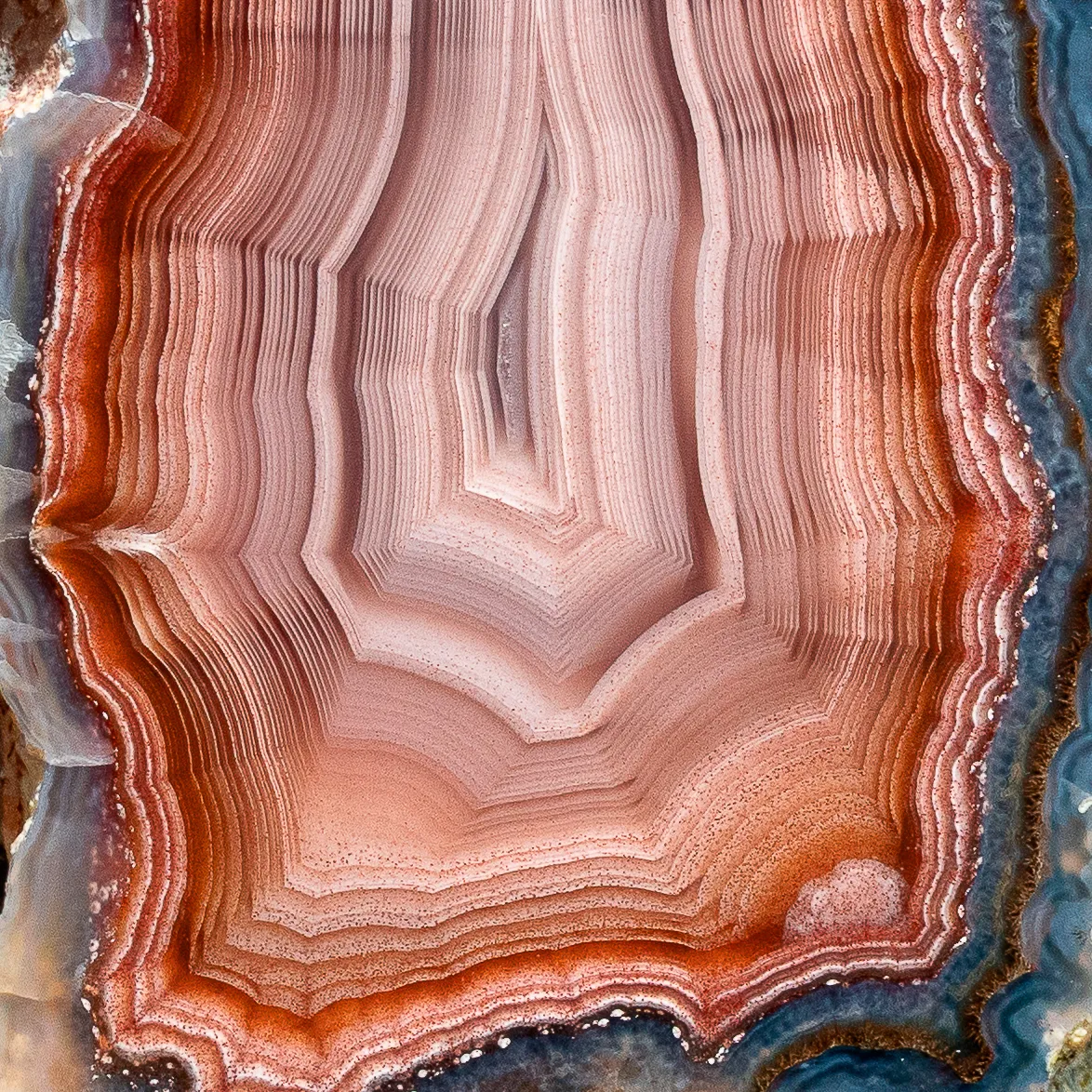 Laguna Agate - image 3