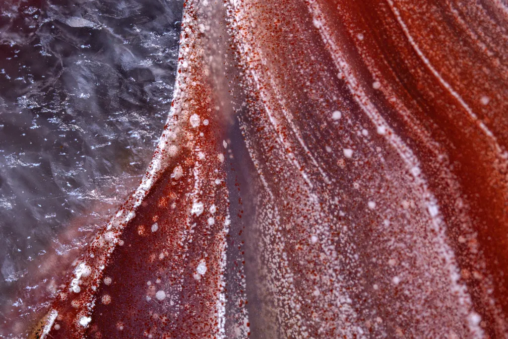 Laguna Agate, Chalcedony from Mexico, Chihuahua, Ahumada Municipality, Estacion Ojo Laguna - image 6