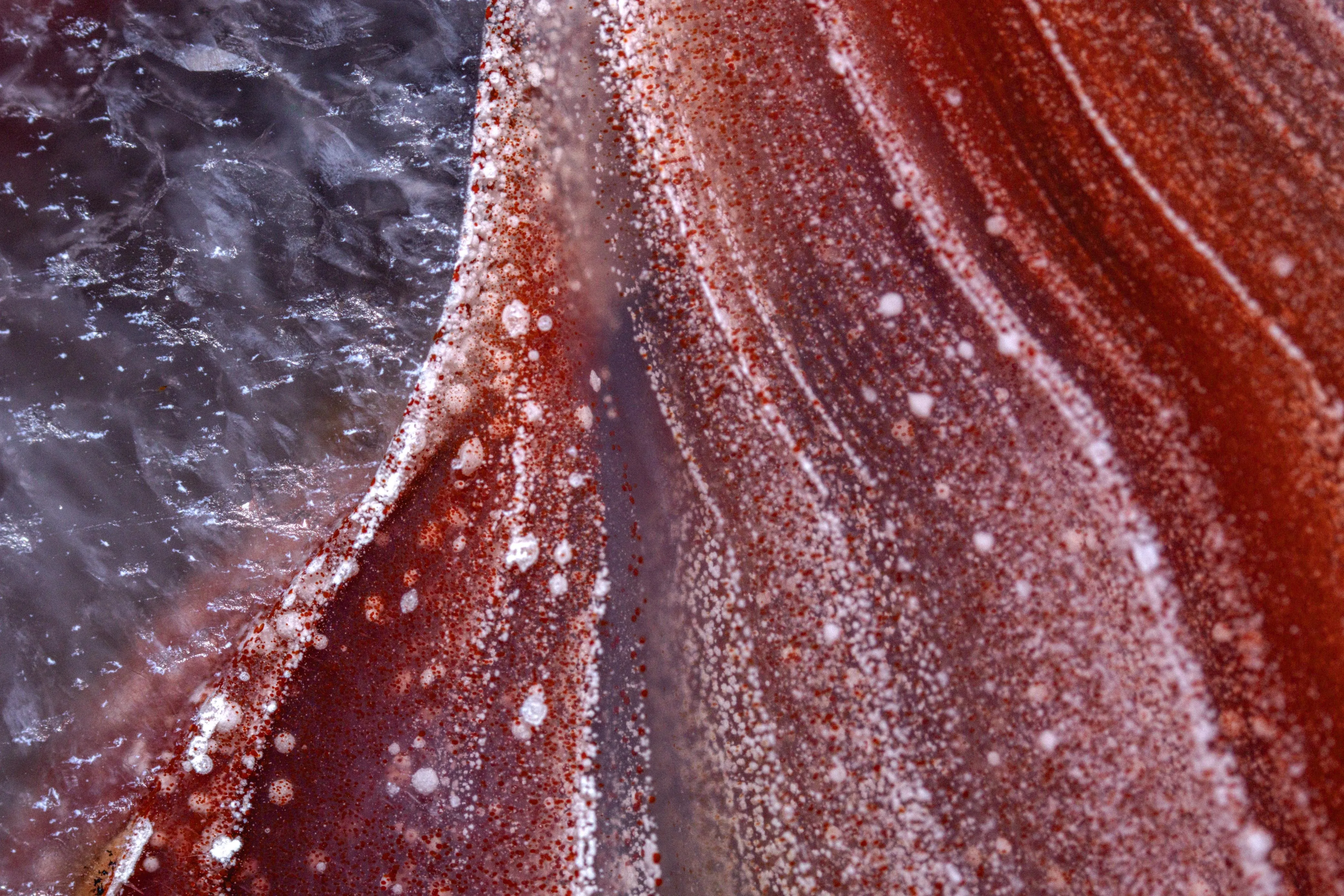Laguna Agate, Chalcedony from Mexico, Chihuahua, Ahumada Municipality, Estacion Ojo Laguna - image 3