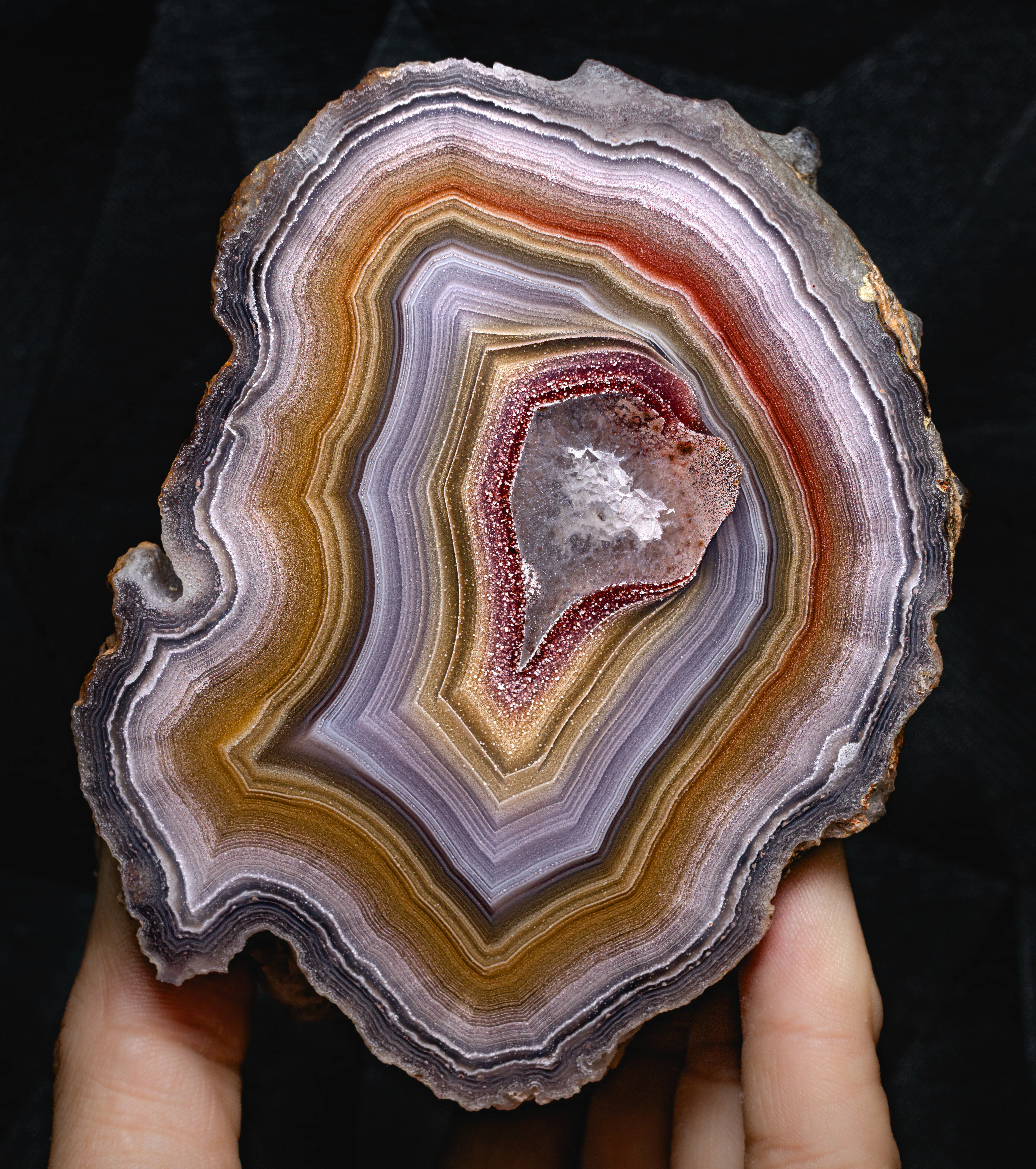 Laguna Agate, Chalcedony from Mexico, Chihuahua, Ahumada Municipality, Estacion Ojo Laguna - image 2