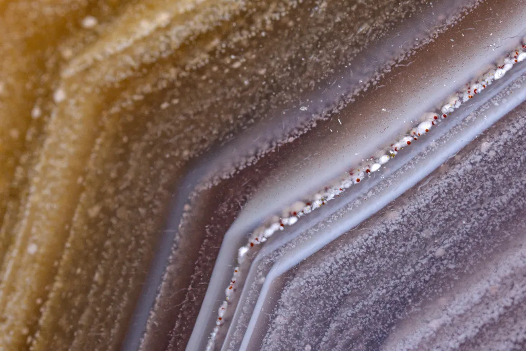 Laguna Agate, Chalcedony from Mexico, Chihuahua, Ahumada Municipality, Estacion Ojo Laguna - image 7