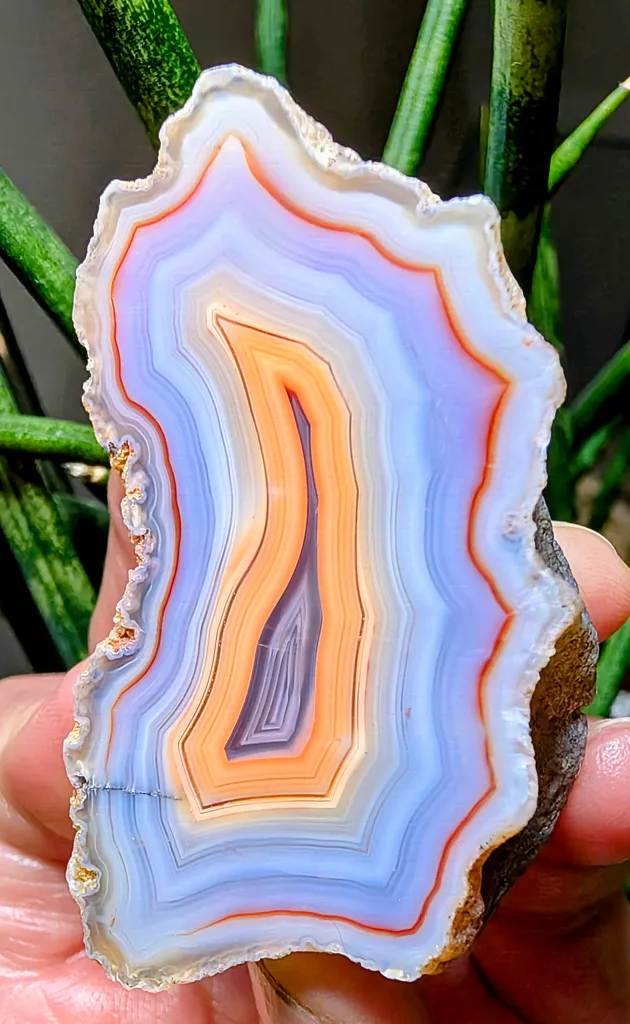 Laguna Agate from Mexico, Chihuahua image