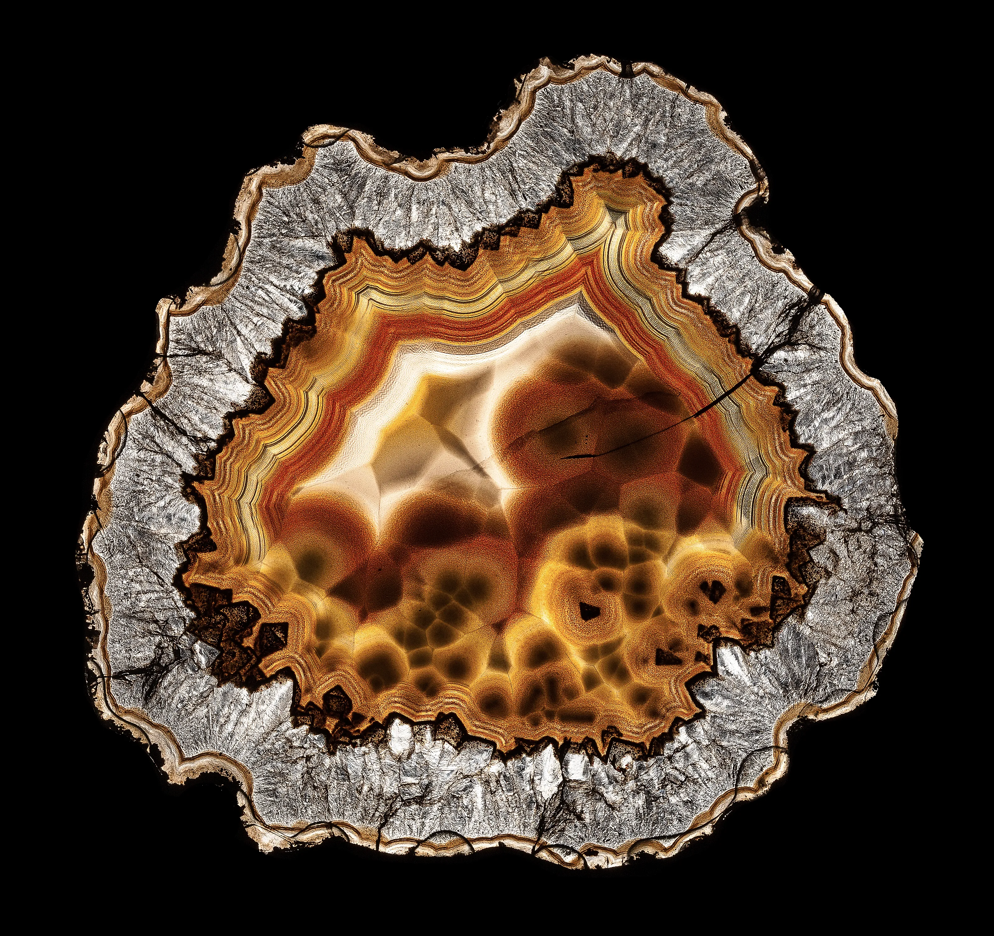 Laguna Agate (Transmitted light) - image 1