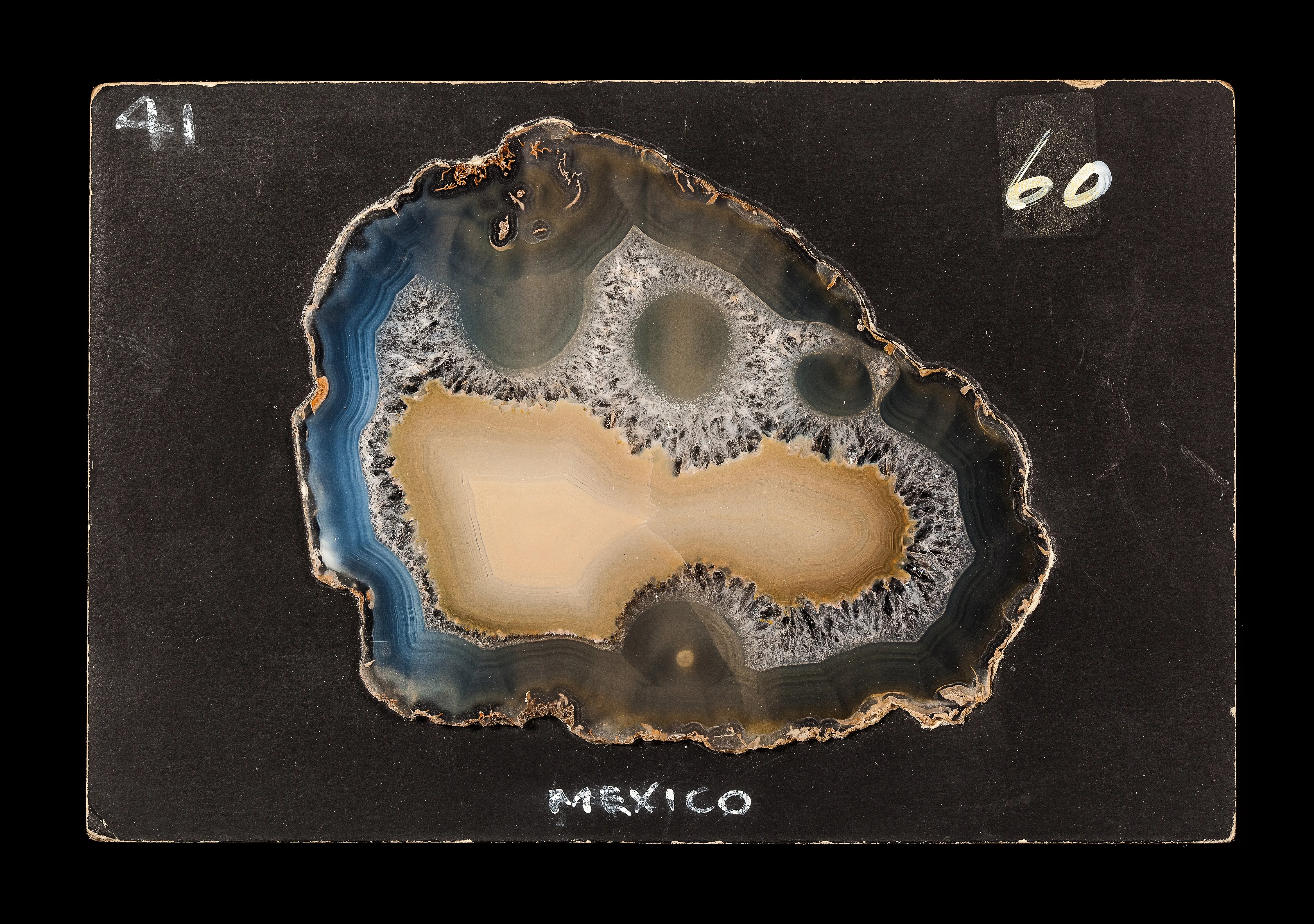 Laguna Agate (Transmitted light) - image 2