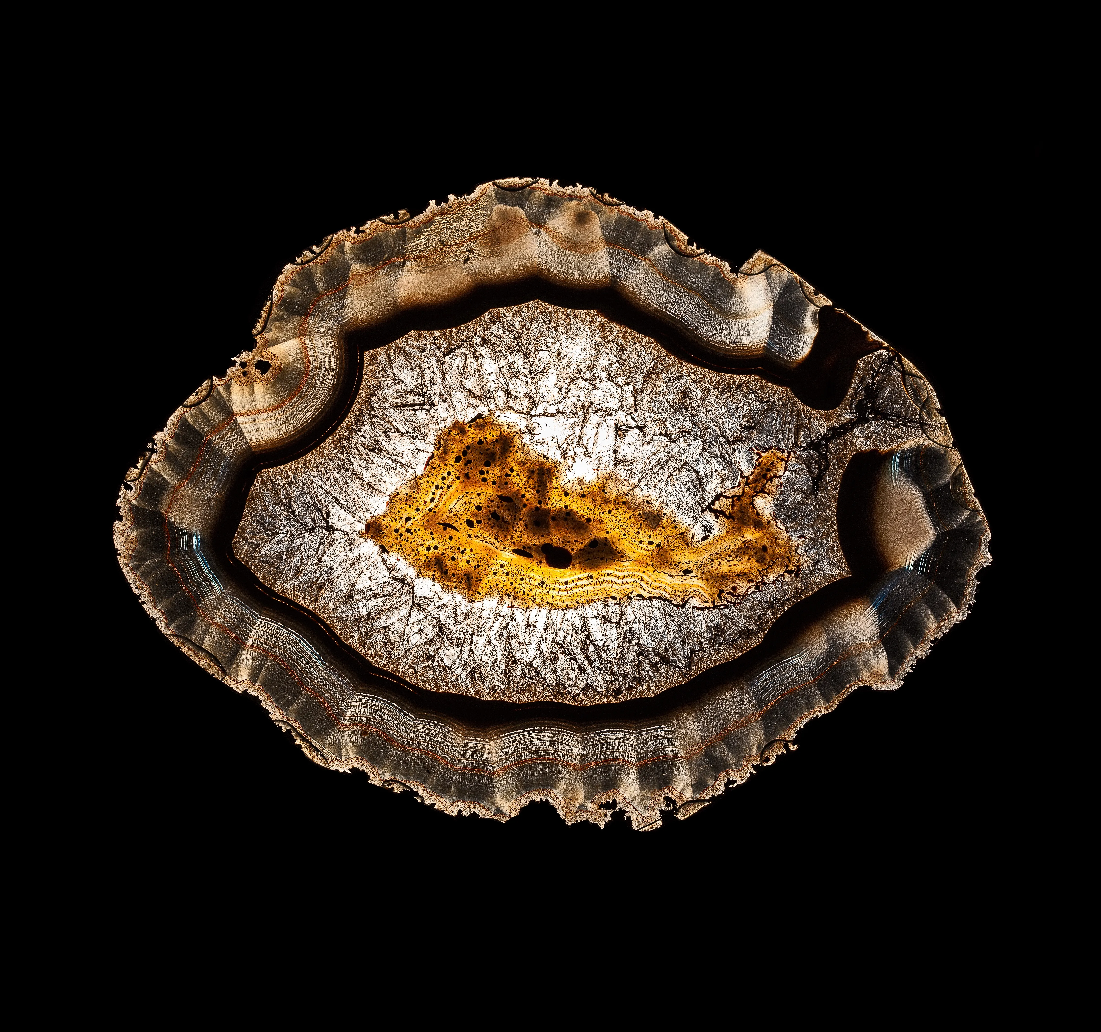 Laguna Agate (Transmitted light) - image 1