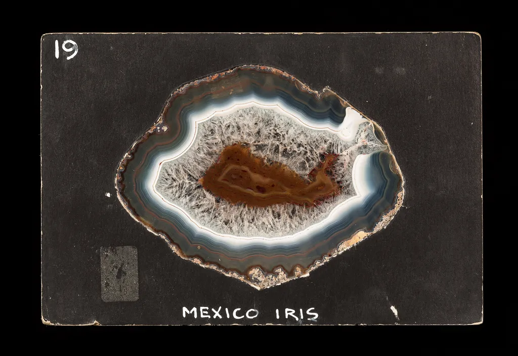 Laguna Agate (Transmitted light) - image 2