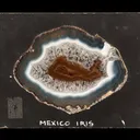 Laguna Agate (Transmitted light) - image 2