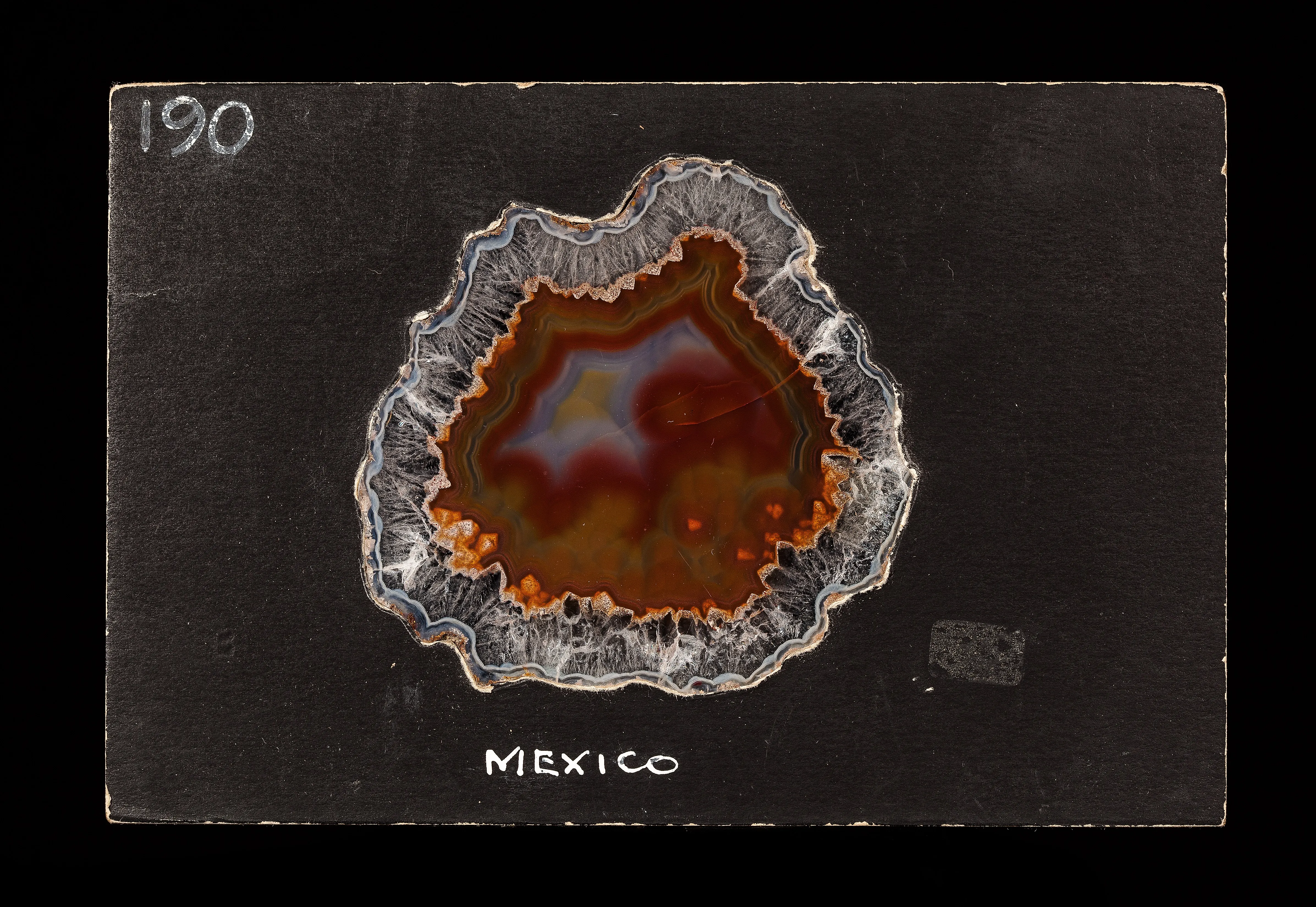 Laguna Agate (Transmitted light) - image 2