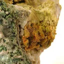 Lanarkite, Leadhillite Etc. - image 3