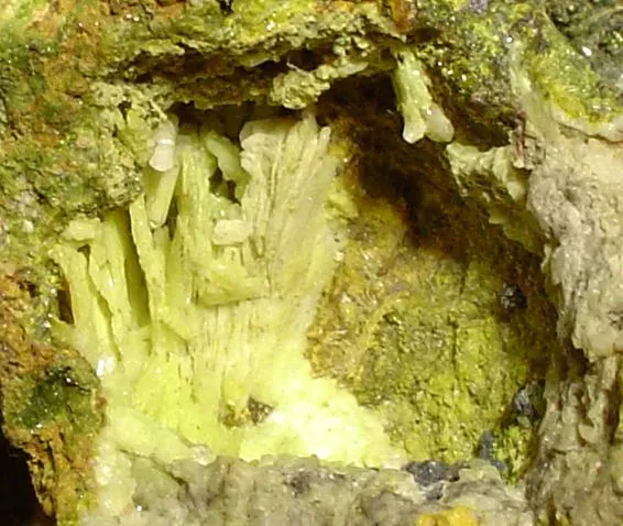 Lanarkite, Leadhillite, Pyromorphite - image 2
