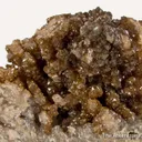 Landesite and Reddingite with Triphylite - image 4