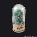 Langite (Type Locale) with Brochantite (circa 1850) - image 1