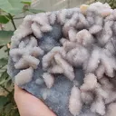 specimen video