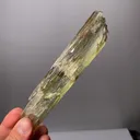 specimen video