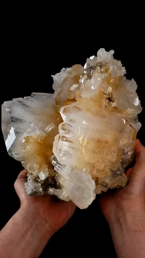 specimen video