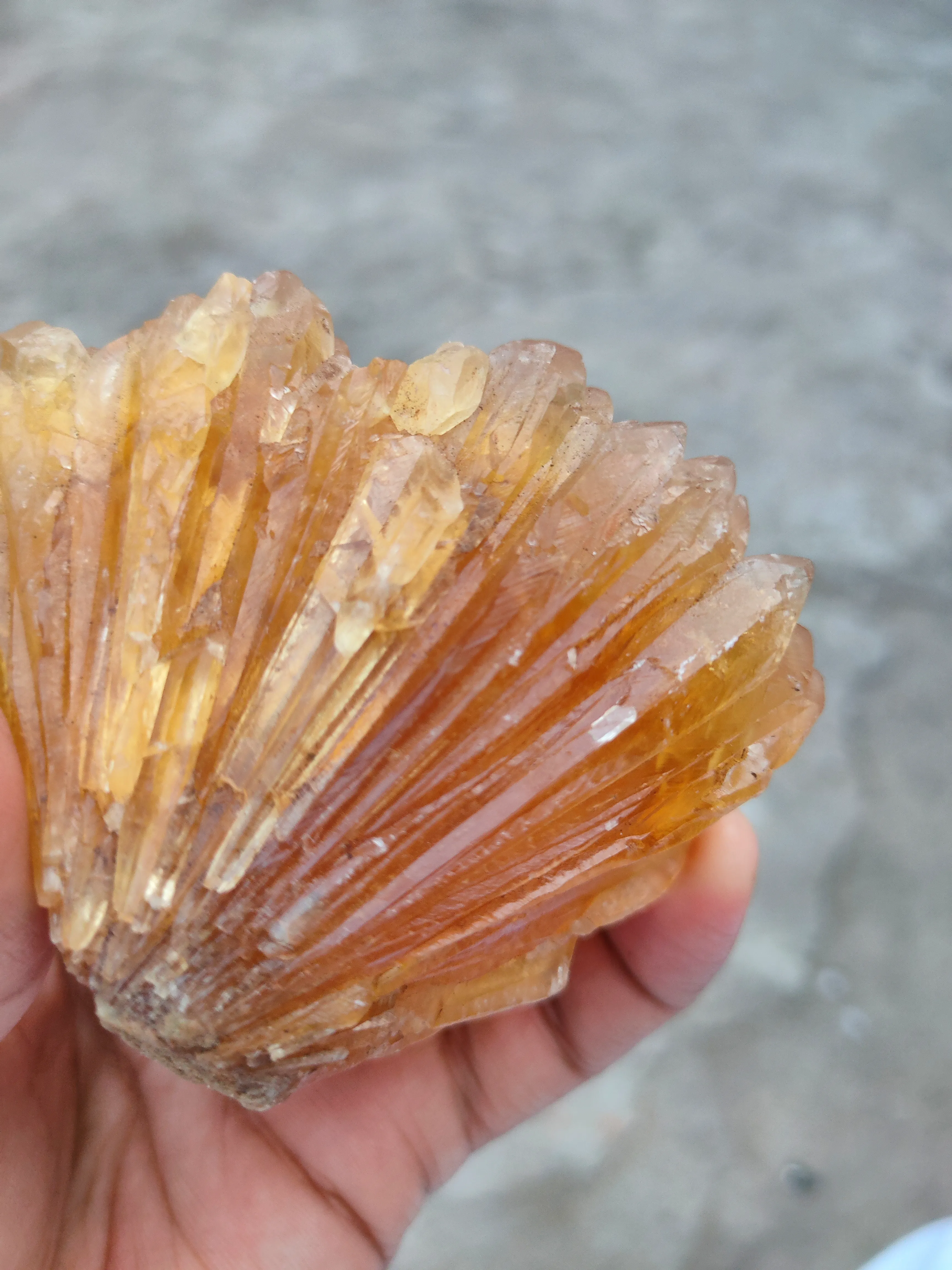Large Honey calcite Flower - image 6