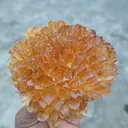 Large Honey calcite Flower - image 5