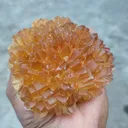 Large Honey calcite Flower - image 2