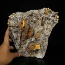 Large Museum-Grade Gyrolite Nodules on Heulandite & Micro-Quartz Matrix – - image 4