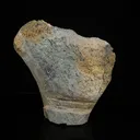 Large Museum-Grade Gyrolite Nodules on Heulandite & Micro-Quartz Matrix – - image 5