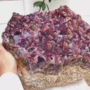 specimen video