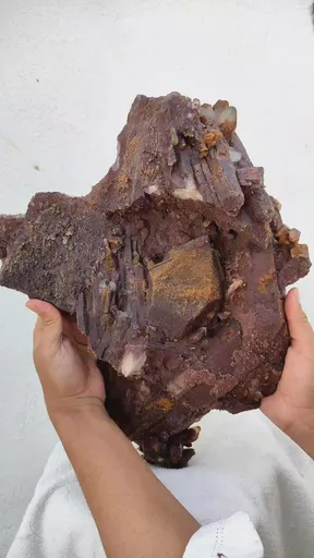 specimen video
