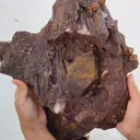 specimen video