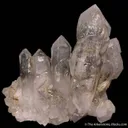 Large Skeletal Quartz Scepters - $450 - image 1