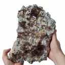 Large Smoky Quartz Crystals plate - Chamonix Mont-Blanc, France - image 3