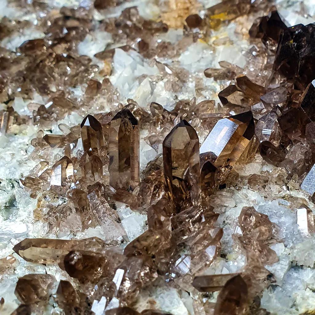 Large Smoky Quartz Crystals plate - Chamonix Mont-Blanc, France - image 5