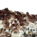 Large Smoky Quartz Crystals plate - Chamonix Mont-Blanc, France - image 7