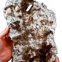 specimen video