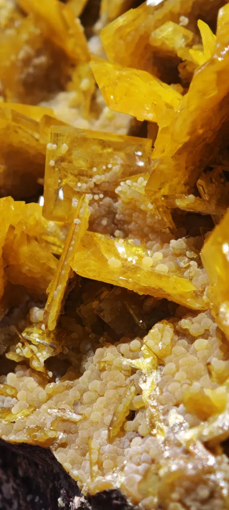 Large, Top-Tier Wulfenite with Mimetite from La Morita Mine - image 4