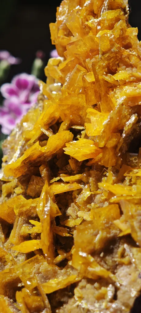 Large, Top-Tier Wulfenite with Mimetite from La Morita Mine - image 10