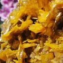 Large, Top-Tier Wulfenite with Mimetite from La Morita Mine - image 10